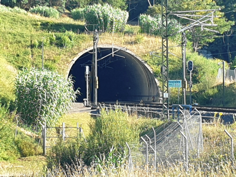 Tunnel de Xesteira