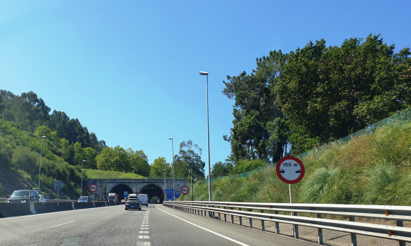 A Madroa Tunnel