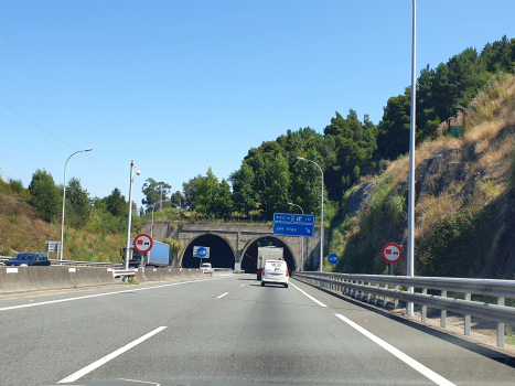 A Madroa Tunnel