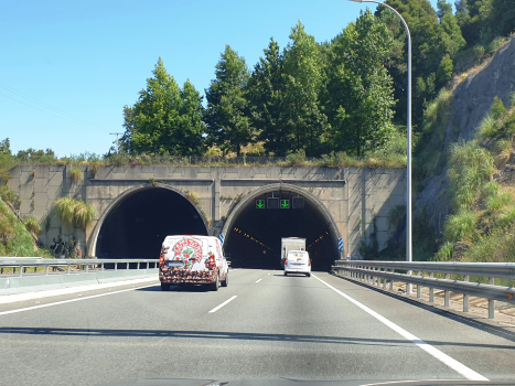 A Madroa Tunnel