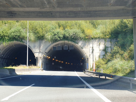 Montecelo Tunnel