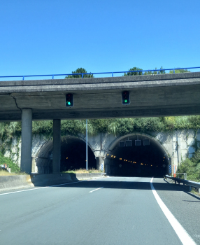 Tunnel de Montecelo