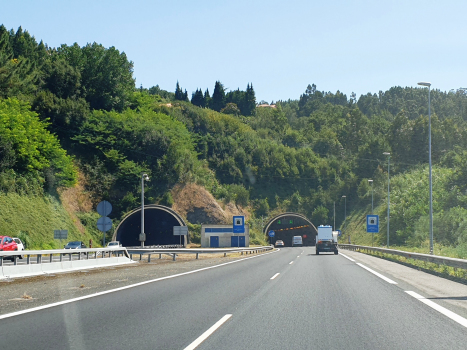 Pedra de Couto-Tunnel