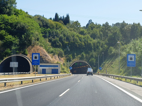 Tunnel de Pedra de Couto