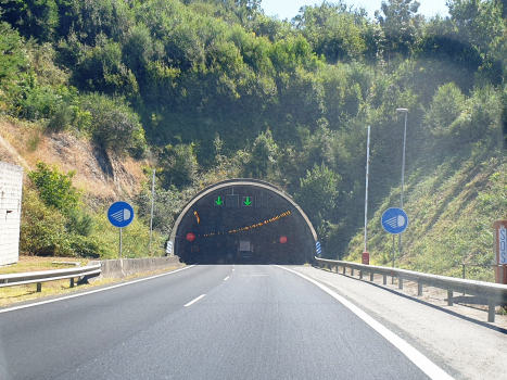 Tunnel de Pedra de Couto