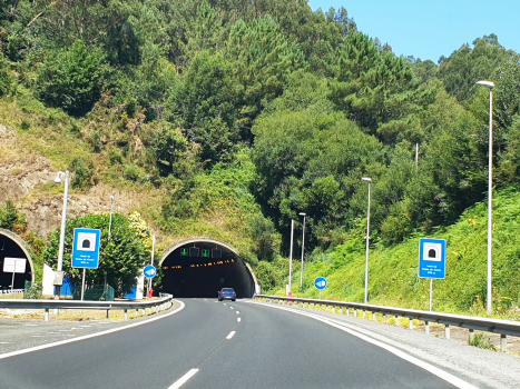 Tunnel de Pedra de Couto