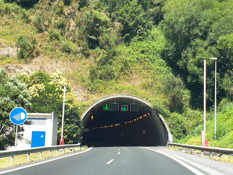 Pedra de Couto-Tunnel