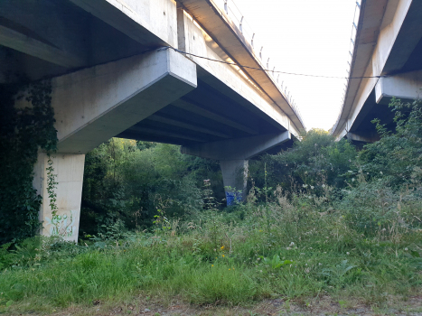 Pont sur le Rio Tambre