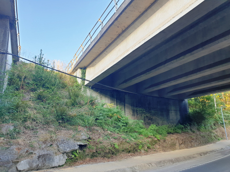 Pont sur le Rio Tambre