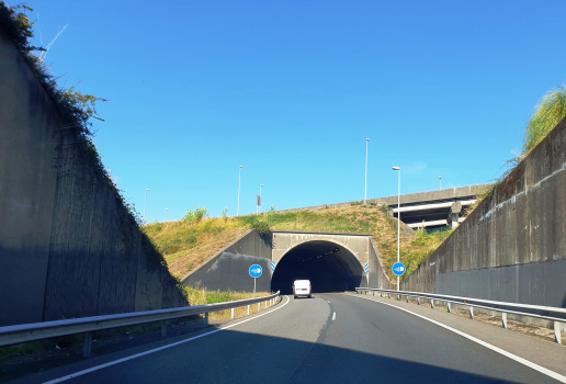 Teis Tunnel