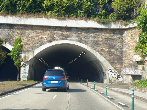 Tunnel de Salgado Torres