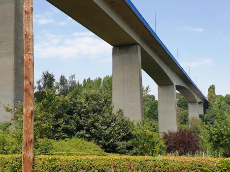 Lugo Bridge (N-540)