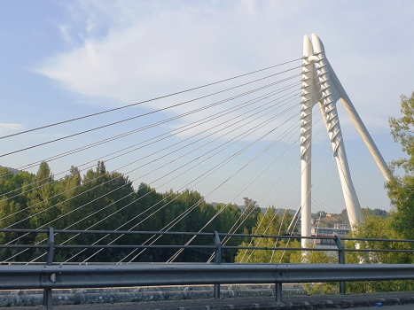 Passerelle de Lonia