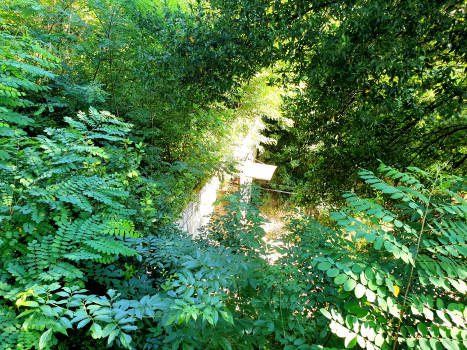 Tunnel de Padron