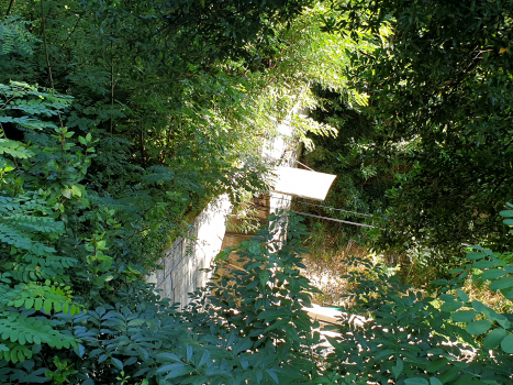 Padron Tunnel