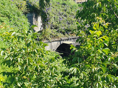 Tunnel de Pregal