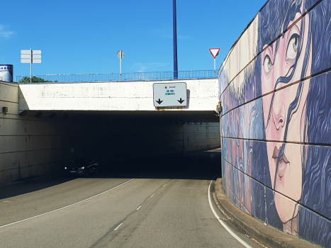 Tunnel de Puerto Berbes