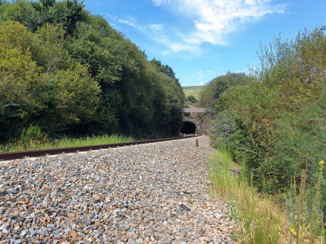 Tunnel de Chanos