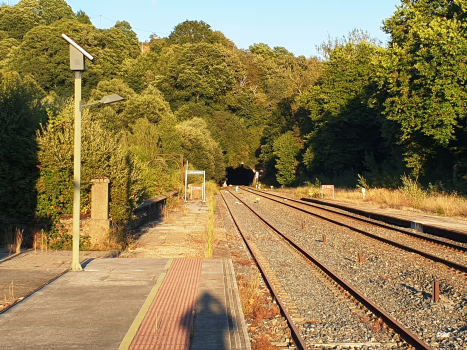 Laza-Cerdedelo Station and Cerdedelo Tunnel