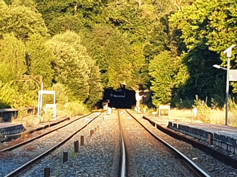 Cerdedelo Tunnel