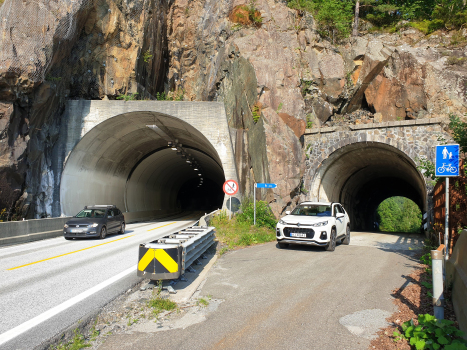 Tronvik-Tunnel