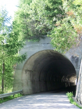 Monte Colmo I Tunnel southern portal