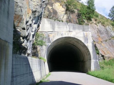 Monte Colmo III Tunnel southern portal