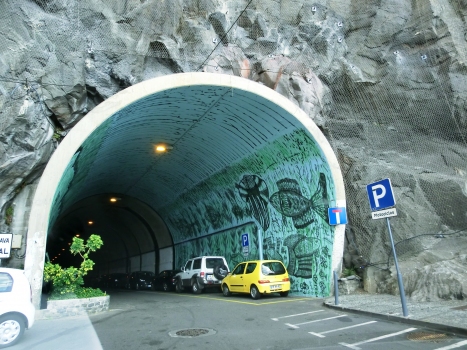 Caminho do Passo Tunnel western portal