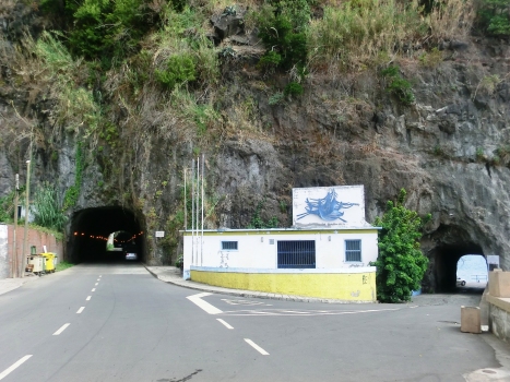 Anjos II Tunnel (on the left) and Esperança Tunnel western portals