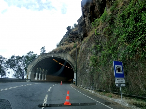 Tunnel de Pestana Junior