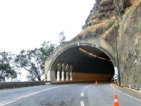 Pestana Junior Tunnel eastern portal