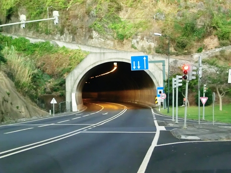 Tunnel de Pestana Junior