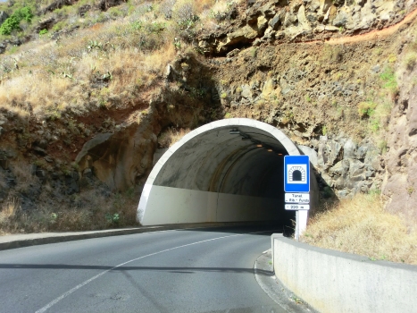Ribeira Funda Tunnel eastern portal