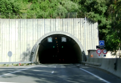 Tunnel de Castellar western portal