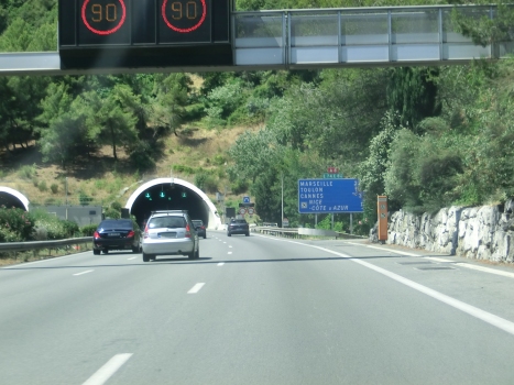 Pessicart Tunnel eastern portal