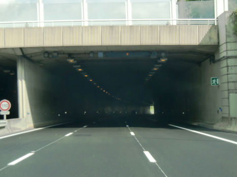 M.Berteaux Tunnel