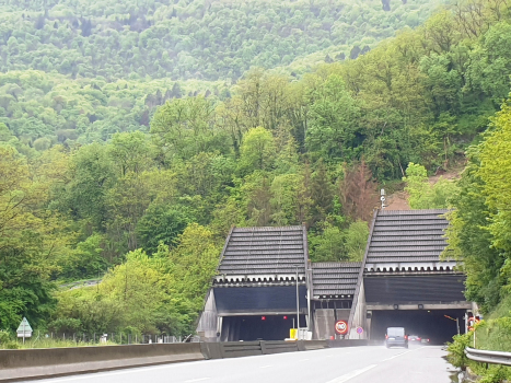 Tunnel de l'Épine eastern portals