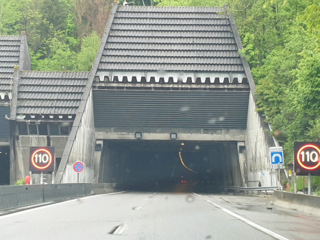 Tunnel de l'Épine eastern portal (westbound)
