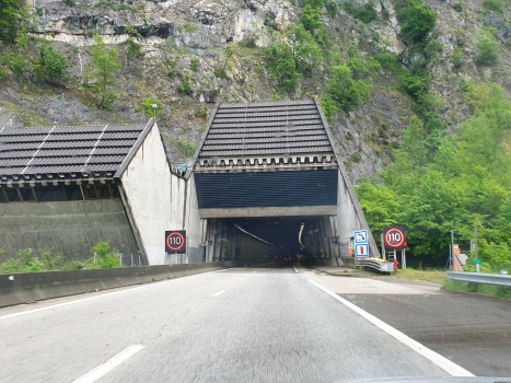 Tunnel de l'Épine