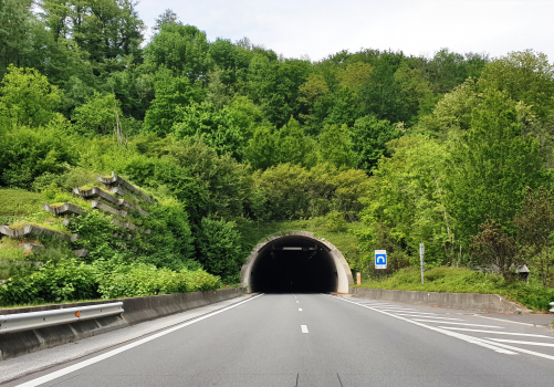 Les Hurtières Tunnel southern portals
