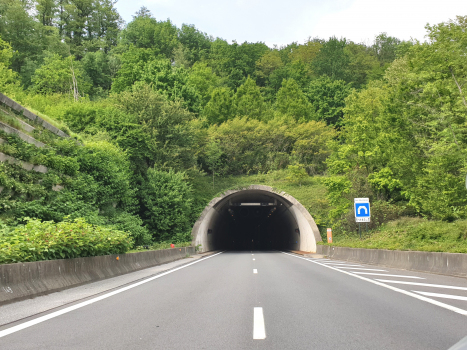 Tunnel des Hurtières