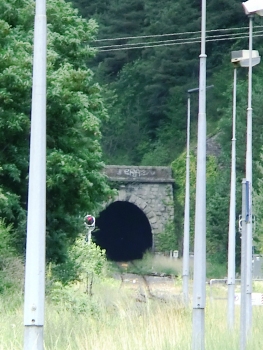 Tunnel de la Biogna