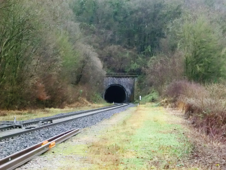 Tunnel de Buswiller