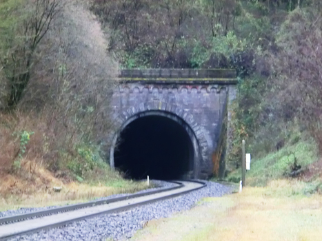 Buswiller Tunnel northern portal