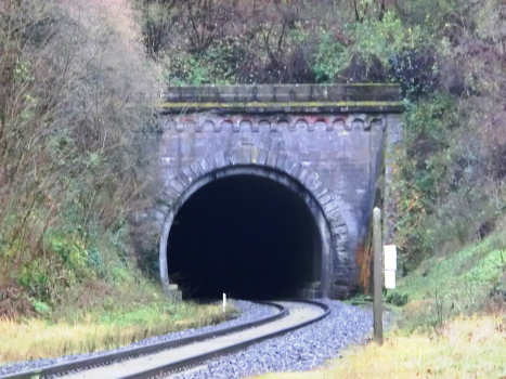 Tunnel Buswiller