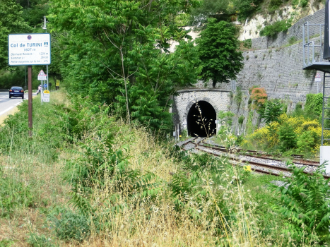 Coalongia Tunnel western portal