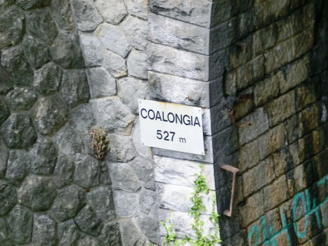 Coalongia Tunnel western portal