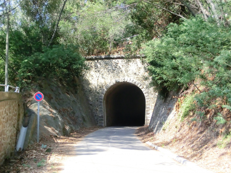 Tunnel du Layet