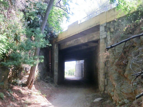 Pramousquier Tunnel