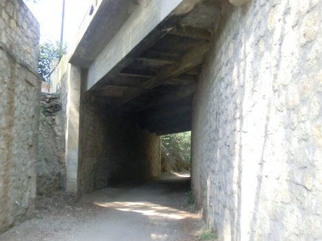 Pramousquier Tunnel